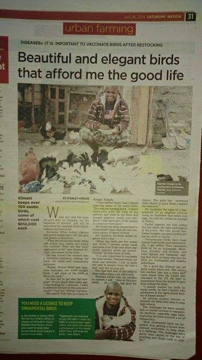 Raphael in the Daily Nation